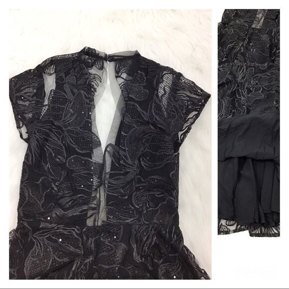 Saulee Alyssa Embroiled Mesh Fit &Flare Midi Dress - Picture 8 of 8